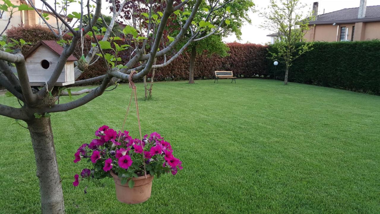 Il Farfasole Bed and Breakfast Vigonovo  Εξωτερικό φωτογραφία