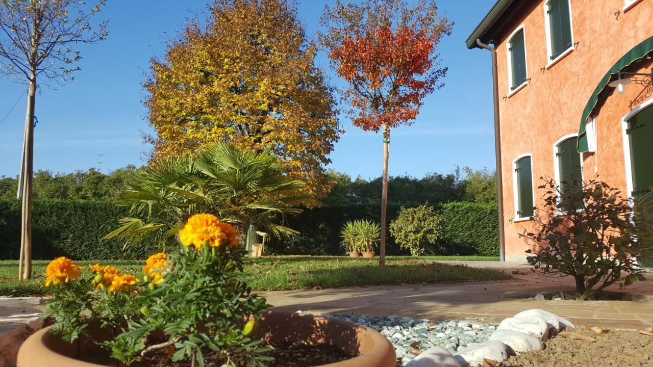 Il Farfasole Bed and Breakfast Vigonovo  Εξωτερικό φωτογραφία